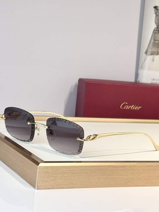 Picture of Cartier Sunglasses _SKUfw79683742fw